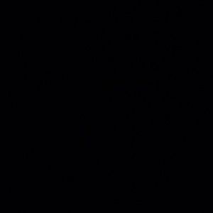 Meet your Posher, Chelsea